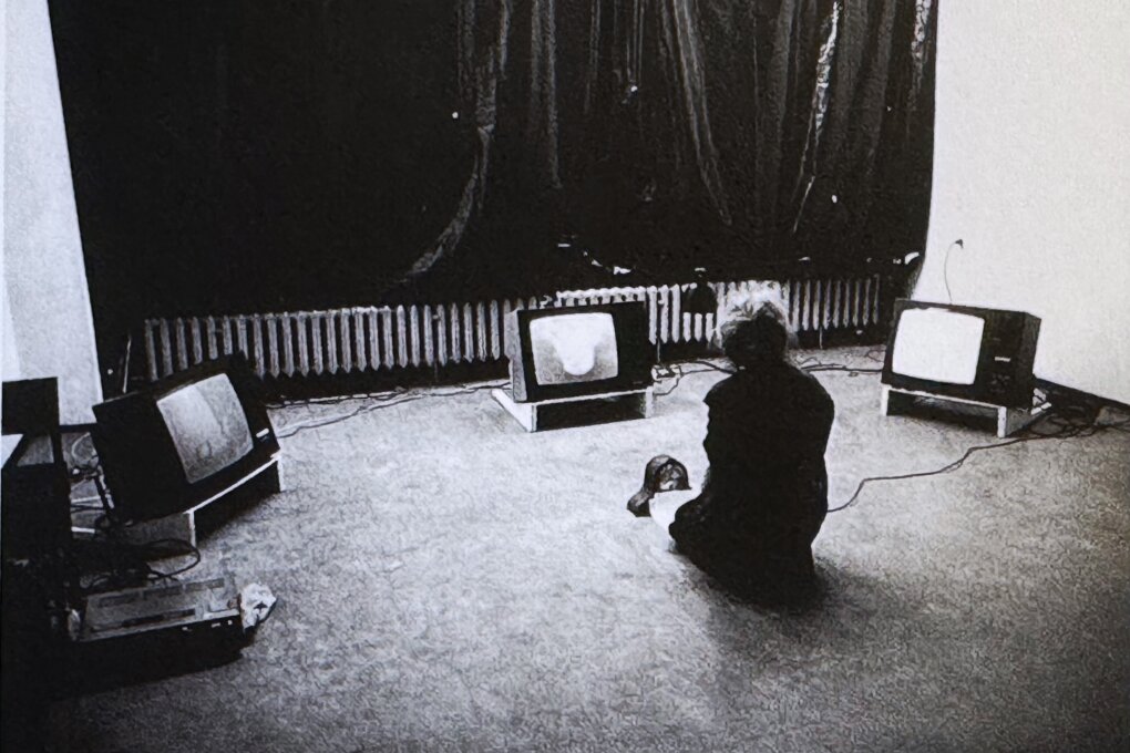 Distorted Image. Chapters from the beginnings of video art